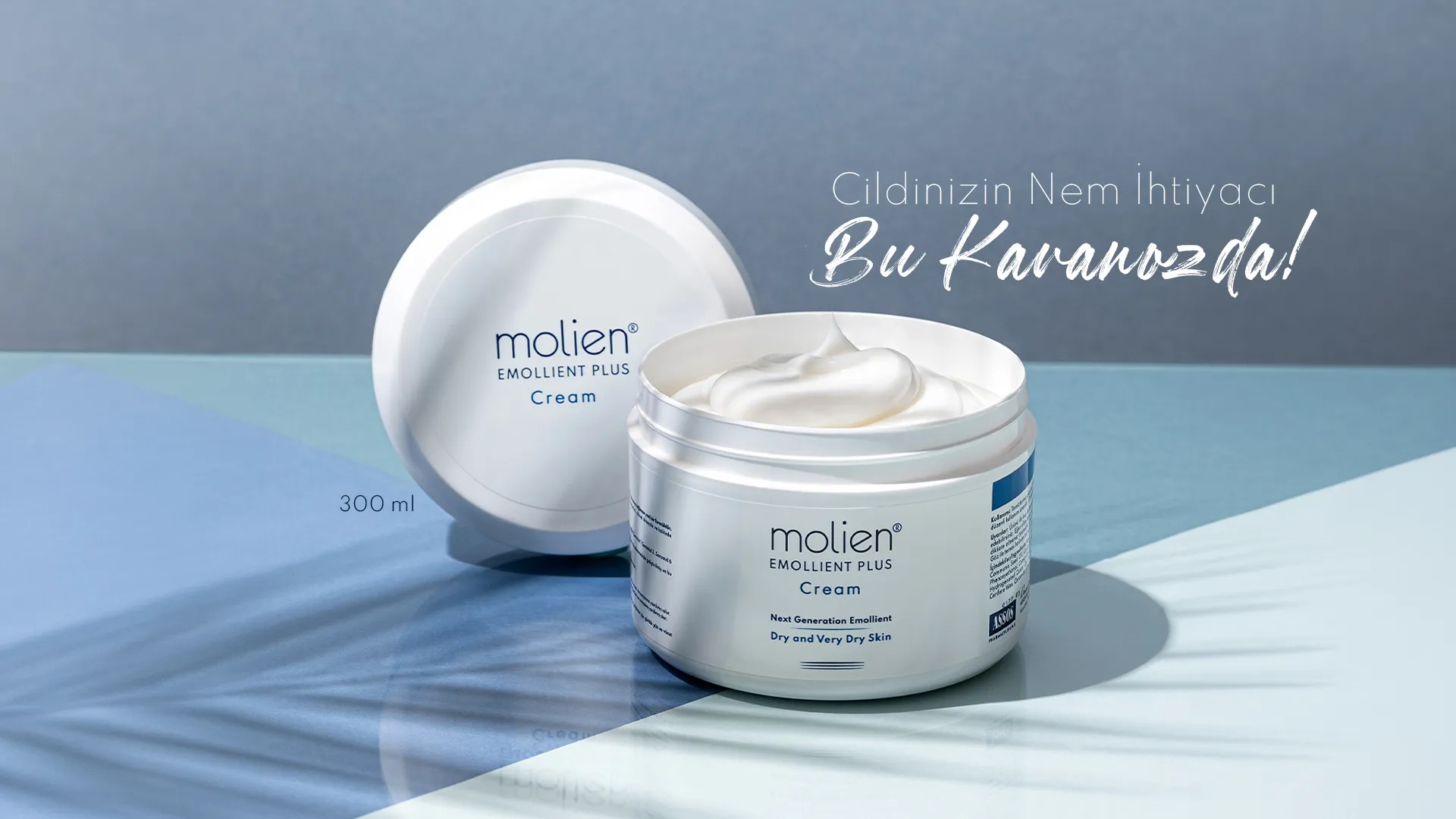 molien-web-banner-01