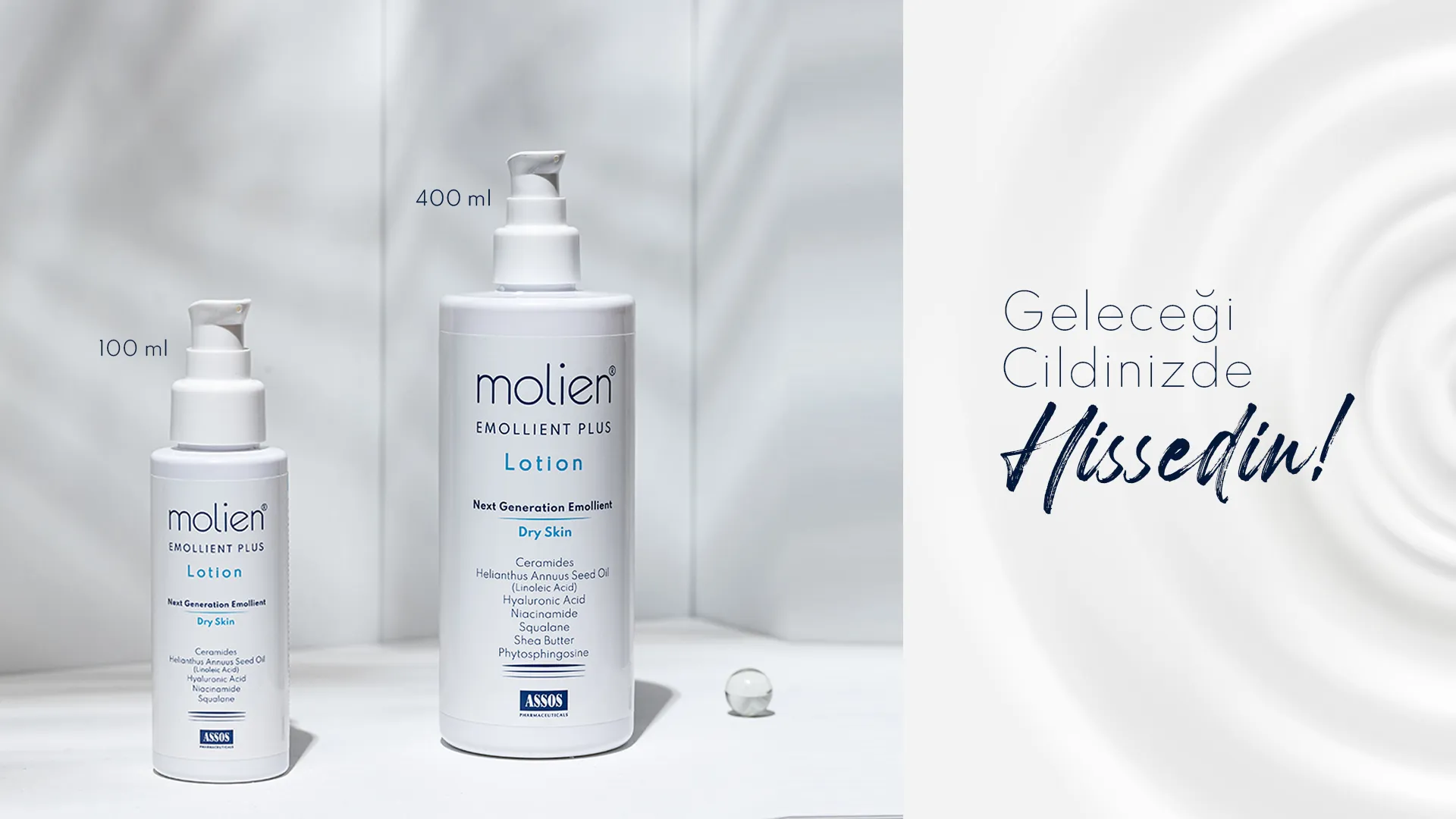 molien-web-banner-02