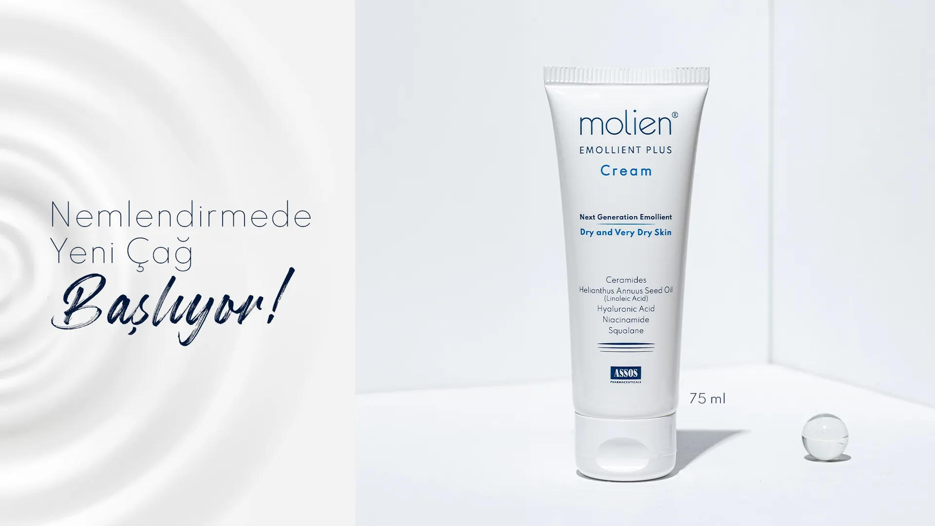 molien-web-banner-03