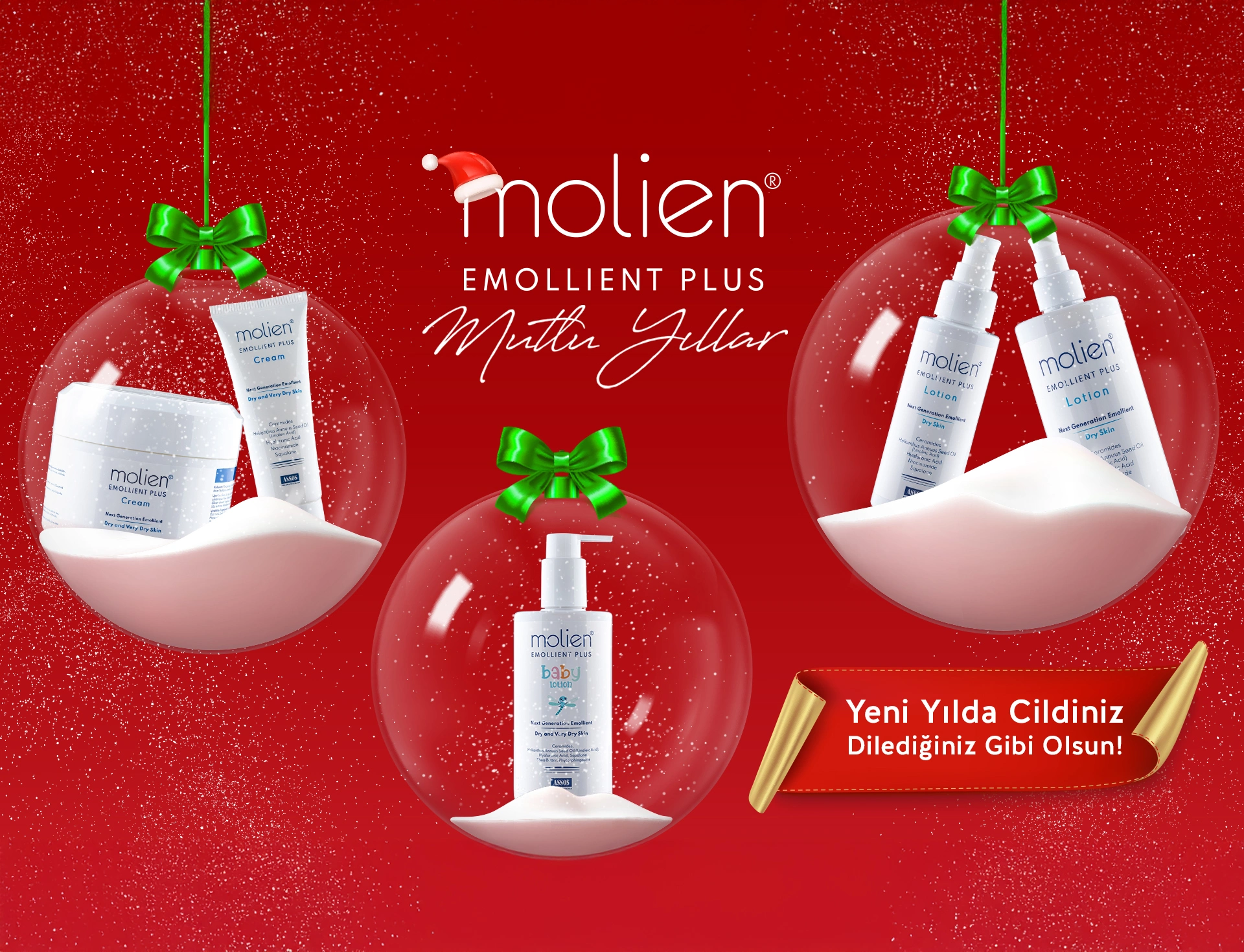 molien-aile-mobil-TR-2024-12-24