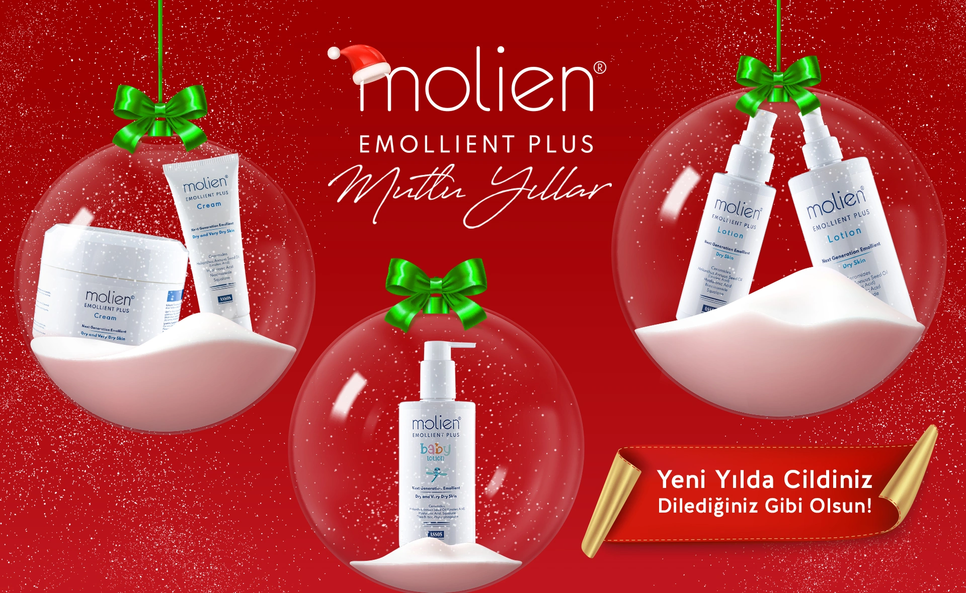 molien-web-yeni-yil-2024-12-23-genel