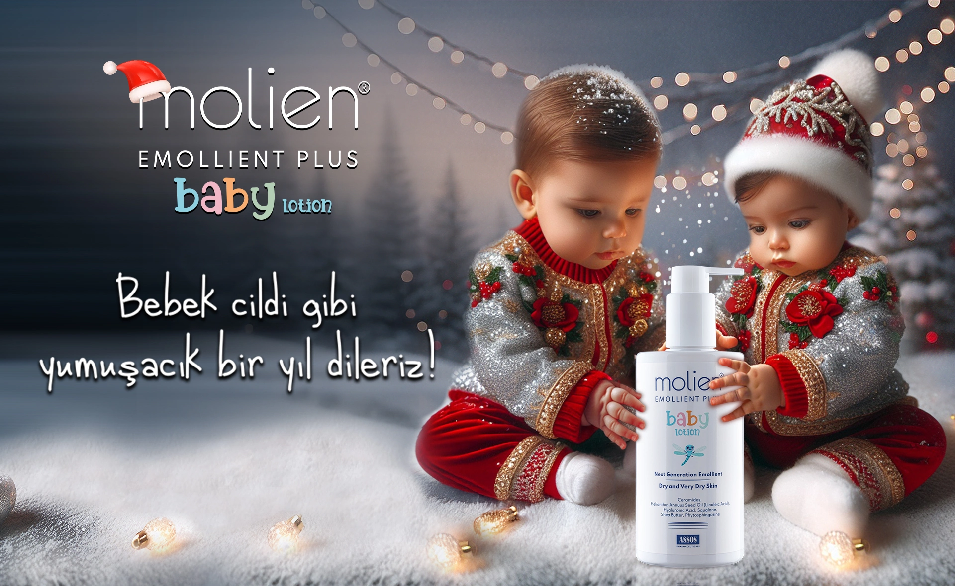 molien-web-yeni-yil-2024-12-23