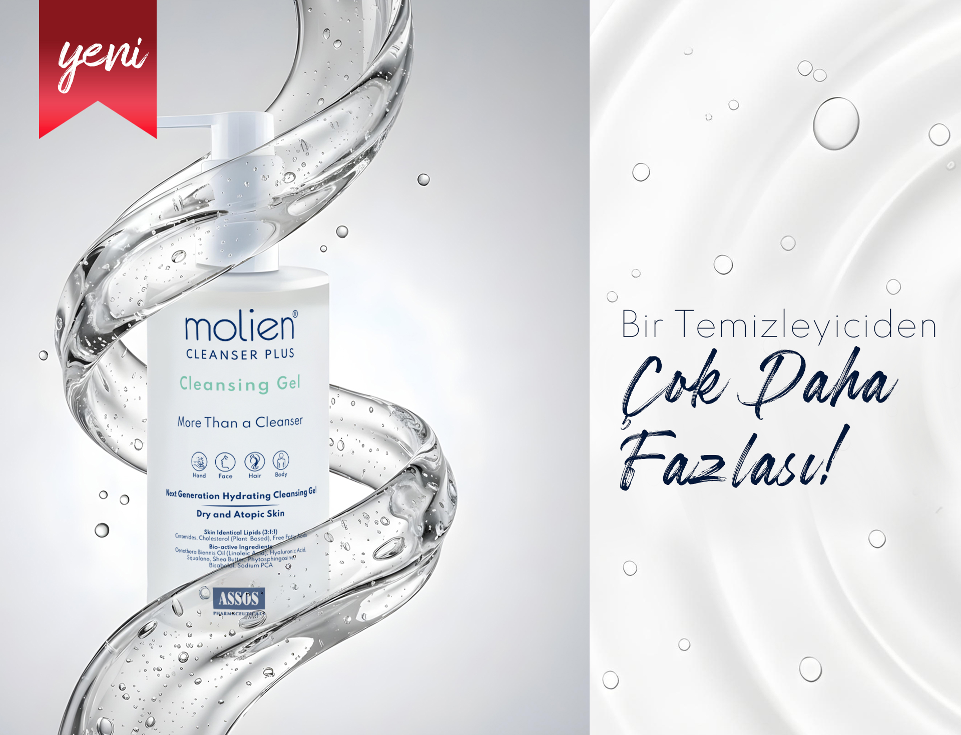 Molien-Web-09-yeni-yil-2026-mobil